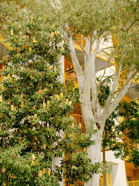 ParkLife Apartment Building