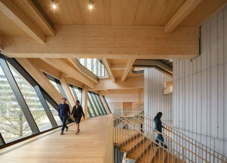 David Rubenstein Treehouse - Harvard University
