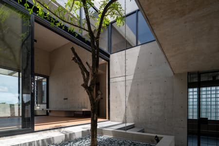P Home