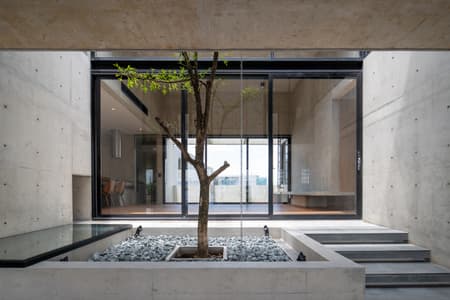 P Home