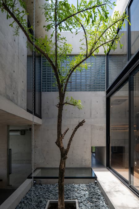 P Home