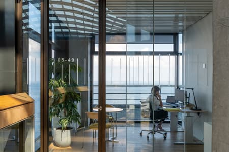 Ferring Pharmaceuticals