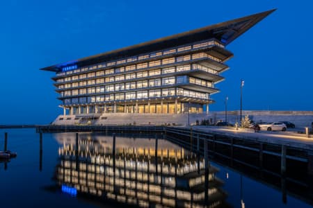 Ferring Pharmaceuticals