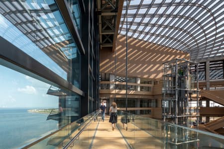 Ferring Pharmaceuticals