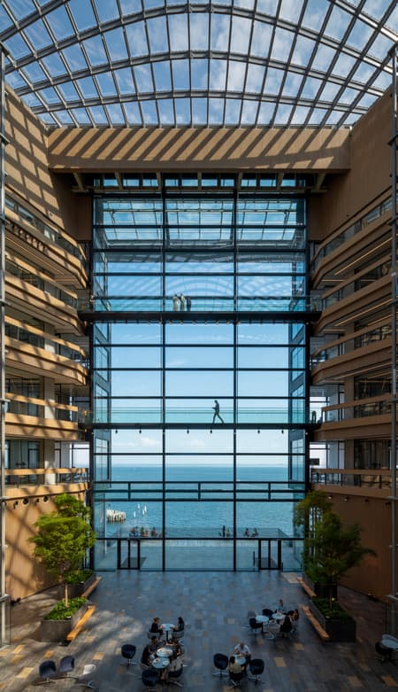 Ferring Pharmaceuticals