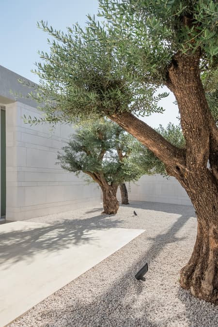 Tneib House