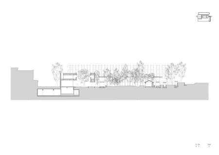 Jingyang Camphor Court