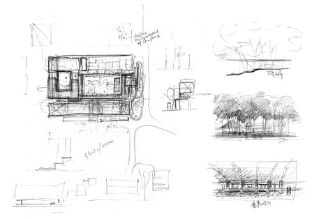 Jingyang Camphor Court