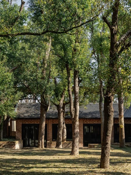 Jingyang Camphor Court