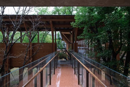 Jingyang Camphor Court