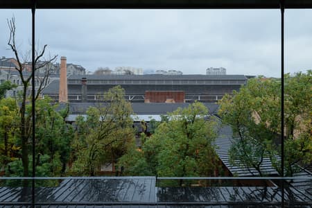 Jingyang Camphor Court